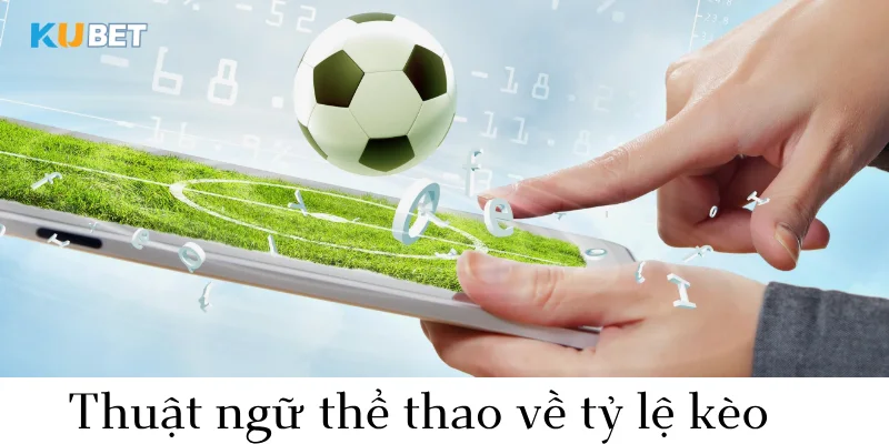 Thuật ngữ cá độ thể thao tại sân chơi Kubet