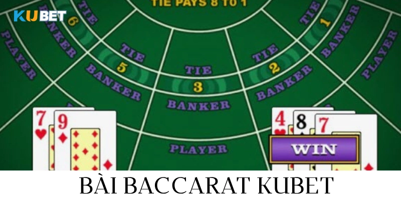 bài baccarat được nhiều bet thủ ưa chuộng